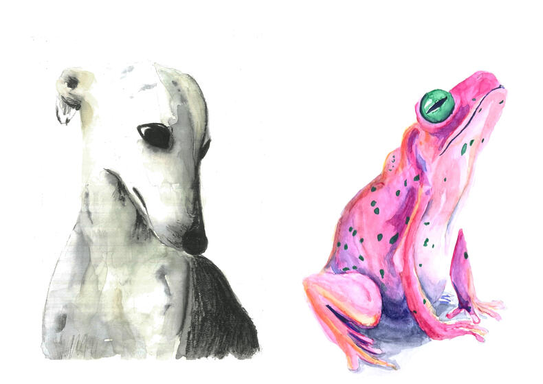 Animal Experiments