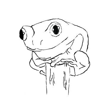 Ink - Frog 2