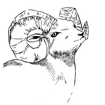 Ink - Ram 1
