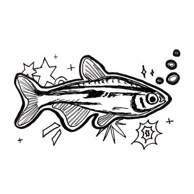 Ink - Fish