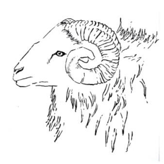 Ink - Ram 2