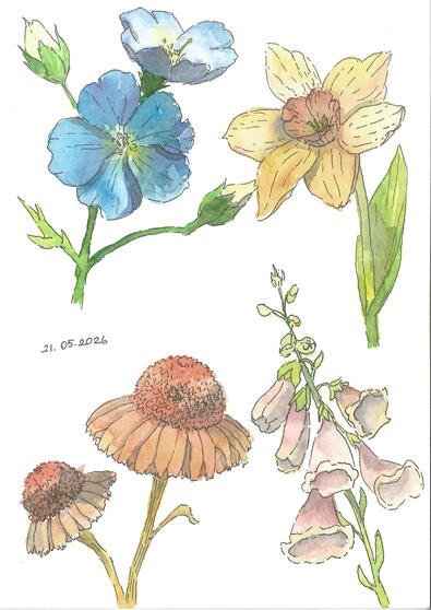 Floral Experiment