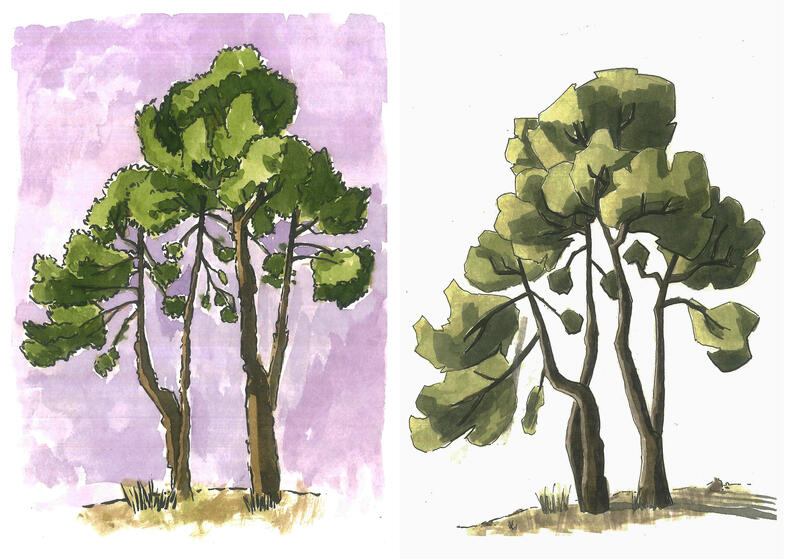 Tree Experiment