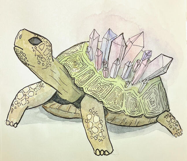 Turtle Cristals
