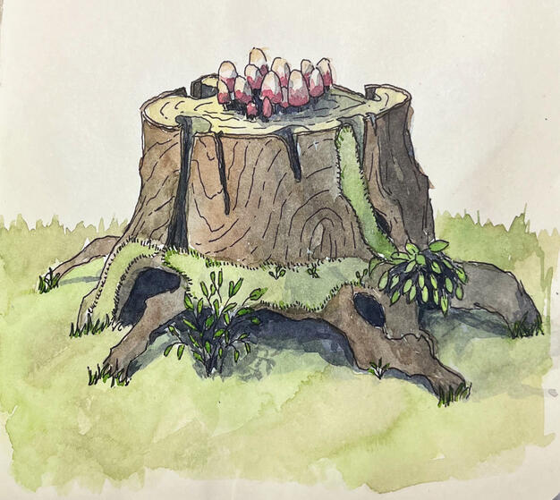 Tree Roots 2
