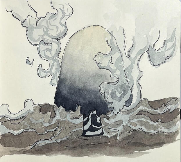 Mushrooms in the swamp