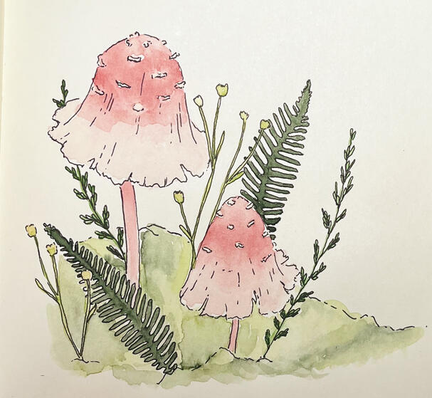 Mushrooms in the greenery