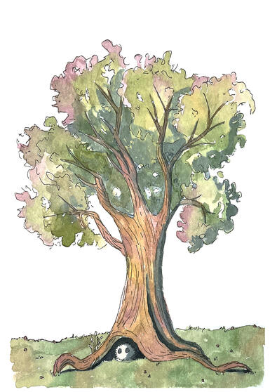 Tree with a visitor.
