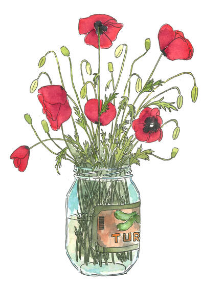 Poppies